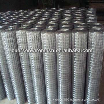 wall Electric Galvanized welded wire mesh